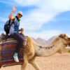 Marrakech Camel Riding Tours