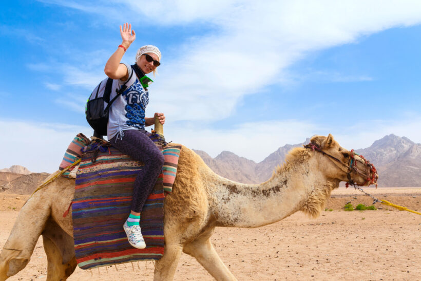 Marrakech Camel Riding Tours