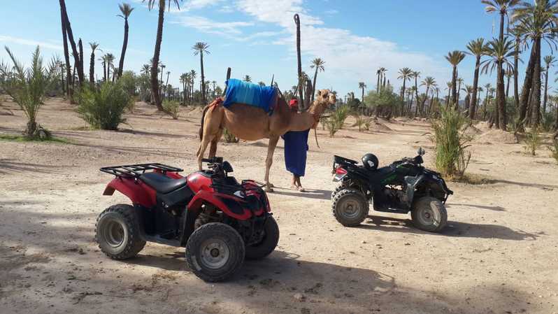 marrakech quad tours