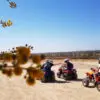 tours quad in marrakech
